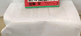 謎の幽霊探偵