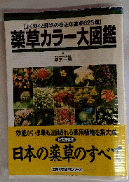 薬草カラー大図鑑