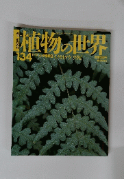 植物の世界　１３４号　１１・１７
