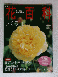 花百科　バラ　１　２００４年2月号