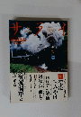サライ　１９９９年８月５日号