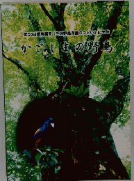 かでしまの野鳥