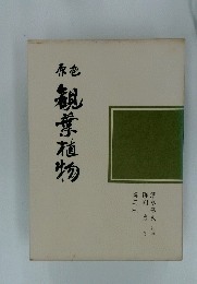 観葉植物