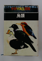 鳥類