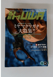 BE　KUWA　11号　2004年夏号