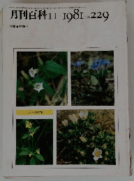 月刊百科　1981年11月号　No.229