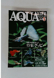 AQUA　LIFE　2008　5