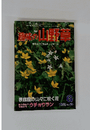 趣味の山野草　6号1985年号