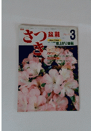 さつき盆栽　1983年3月号