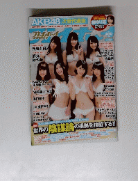 プレイボーイ　2014年