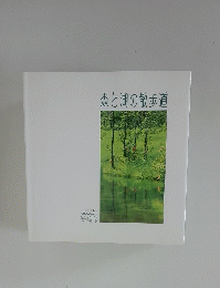 森と湖の散歩道
