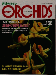 new ORCHIDS　No.156