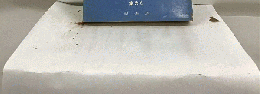 時事英語辞典
