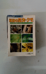 葛飾の昆虫・クモ