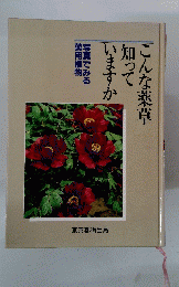 こんな薬草知っていますか