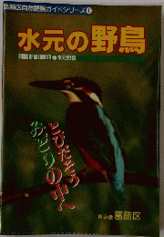 葛飾区自然観察ガイドシリーズ1　水元の野鳥