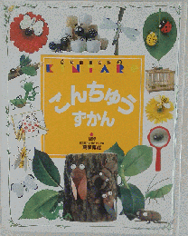 ◆ こんちゅうずかん 幼稚園百科KINTARO 22 ◆ こんちゅうずかん 幼稚園百科KINTARO 22