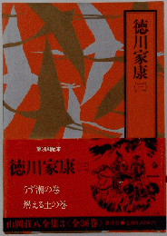 徳川家康三