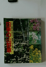四季の山野草