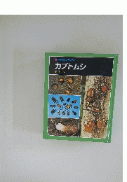 科学のアルバムカブトムシ