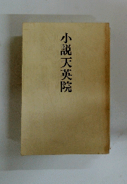 小説天英院
