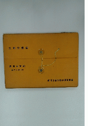 土地分類図 (表層地質図)