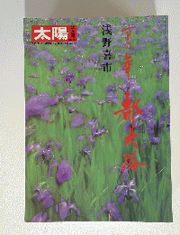 太陽　no.251