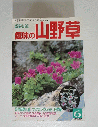 趣味の山野草 1989年6月号