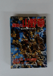 趣味の山野草　1992　2