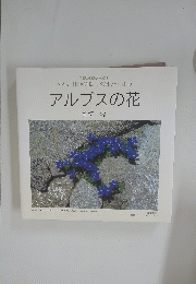 アルプスの花 １９９６年７月２１日号