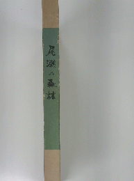 尾瀬の森林