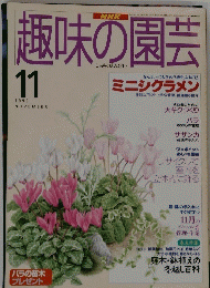 趣味の園芸　1995年11月号
