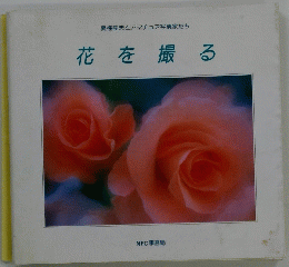 夏梅陸夫とアマチュア写真家たち　花を撮る