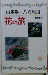 白馬岳 八方尾根　花の旅