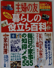 主婦の友　　94年版 新春特別号