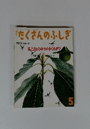 たくさんのふしぎ　１９９２年5月号　5号