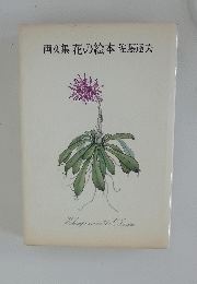 画文集花の絵本佐藤達夫