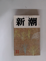 新潮　11