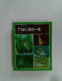 アカトンボの一生