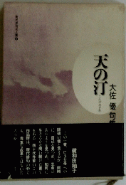 天の汀 大佐優句集