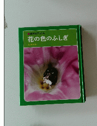 花の色のふしぎ