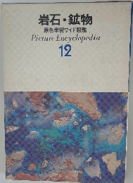 岩石・鉱物　原色学習ワイド図鑑　Picture Encyclopedia　12