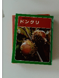 科学のアルバム　ドングリ