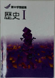 新中学問題集: 歴史