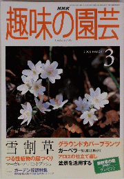 趣味の園芸　2000年3月号