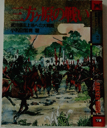 三方ヶ原の戦い
