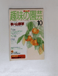 趣味の園芸　１９９５年１０月号