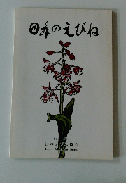 日本のえびね　No.3 1981 日本えびね協会 Japan Calanthean Society