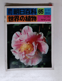 朝日百科　65　2/20　世界の植物　ツバキ　サザンカ