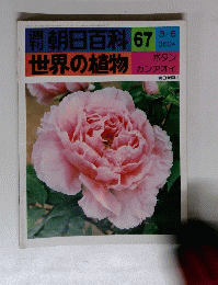 朝日百科 67